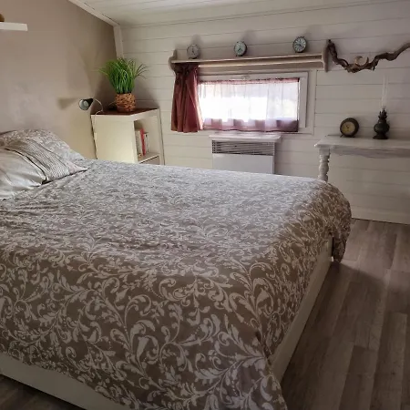 Cosy Kaz بورم لي ميموزا